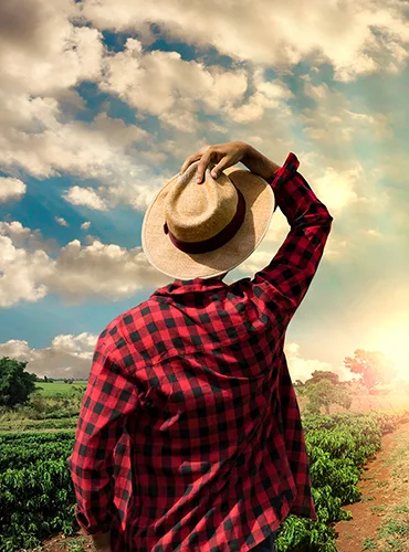 最新动态 - 江南体育